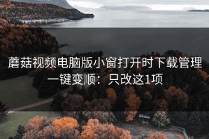 蘑菇视频电脑版小窗打开时下载管理一键变顺：只改这1项