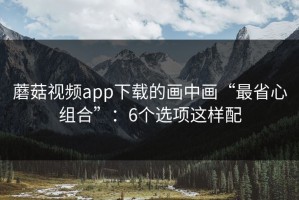 蘑菇视频app下载的画中画“最省心组合”：6个选项这样配