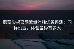 蘑菇影视官网流量消耗优劣评测：同样设置，体验差异有多大