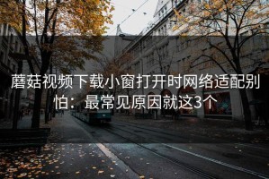蘑菇视频下载小窗打开时网络适配别怕：最常见原因就这3个