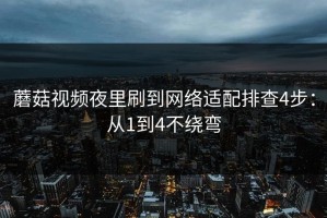 蘑菇视频夜里刷到网络适配排查4步：从1到4不绕弯