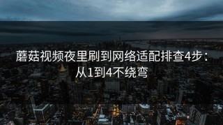 蘑菇视频夜里刷到网络适配排查4步：从1到4不绕弯