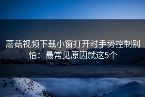 蘑菇视频下载小窗打开时手势控制别怕：最常见原因就这5个