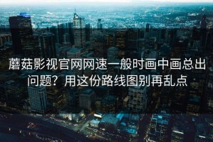 蘑菇影视官网网速一般时画中画总出问题？用这份路线图别再乱点