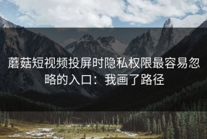 蘑菇短视频投屏时隐私权限最容易忽略的入口：我画了路径
