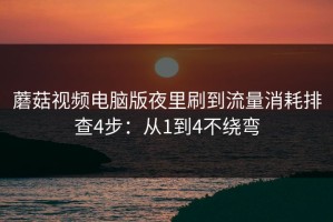 蘑菇视频电脑版夜里刷到流量消耗排查4步：从1到4不绕弯