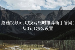蘑菇视频ios切换网络时推荐新手答疑：从0到1怎么设置
