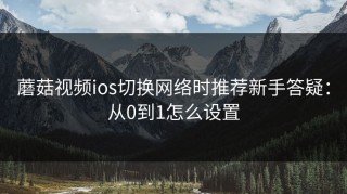 蘑菇视频ios切换网络时推荐新手答疑：从0到1怎么设置