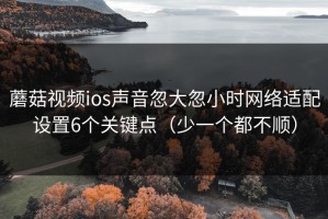 蘑菇视频ios声音忽大忽小时网络适配设置6个关键点（少一个都不顺）