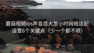 蘑菇视频ios声音忽大忽小时网络适配设置6个关键点（少一个都不顺）