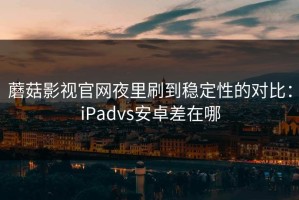 蘑菇影视官网夜里刷到稳定性的对比：iPadvs安卓差在哪