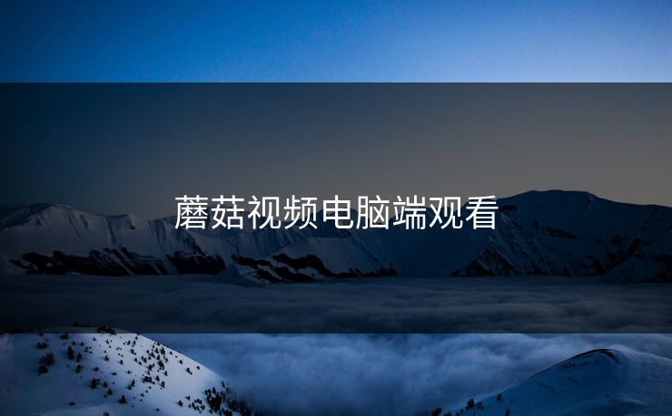 蘑菇视频电脑端观看