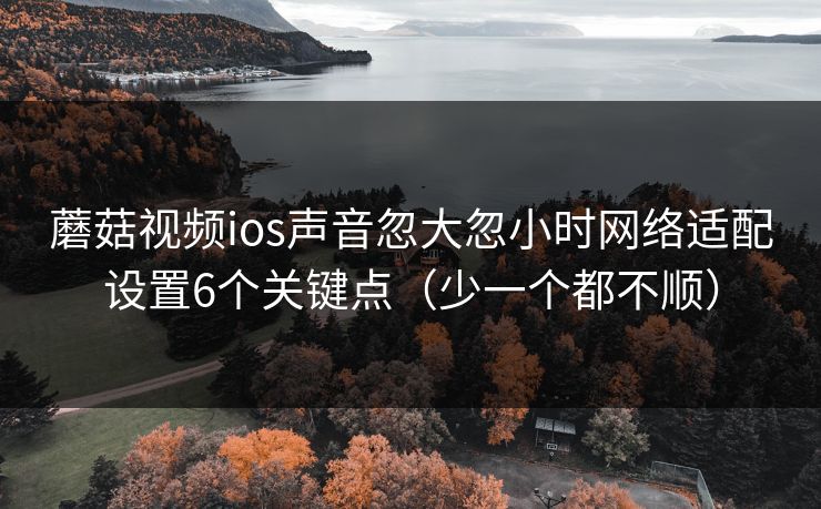 蘑菇视频ios声音忽大忽小时网络适配设置6个关键点（少一个都不顺）