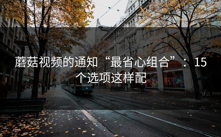 蘑菇视频的通知“最省心组合”：15个选项这样配
