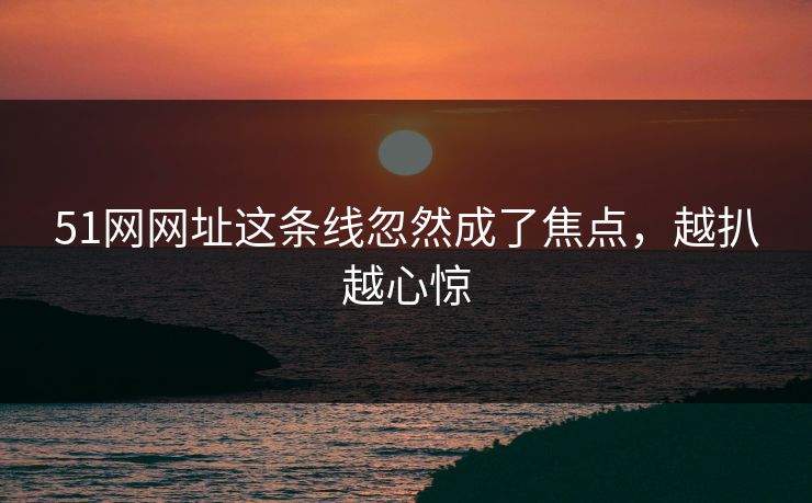 51网网址这条线忽然成了焦点，越扒越心惊